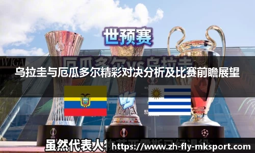 乌拉圭与厄瓜多尔精彩对决分析及比赛前瞻展望