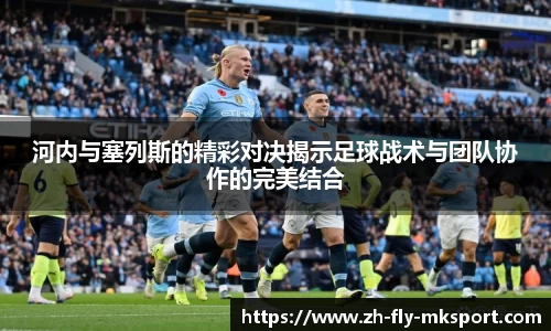 河内与塞列斯的精彩对决揭示足球战术与团队协作的完美结合